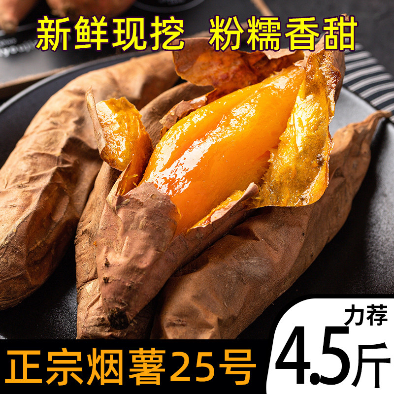 香甜烟薯蜜薯红薯山东