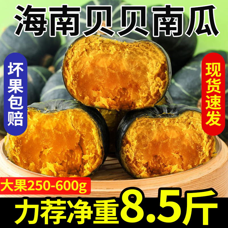 海南贝贝南瓜板栗味贵族小南瓜