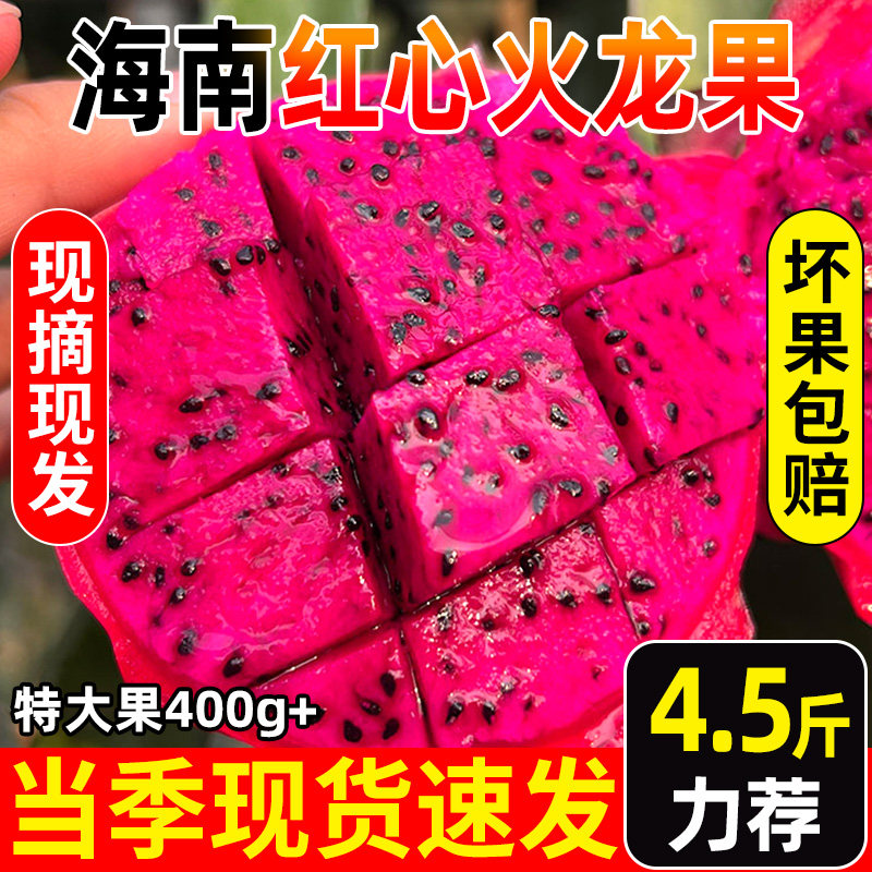 海南红心火龙果新鲜水果甜多汁应当季新鲜水果红芯现货整箱速发
