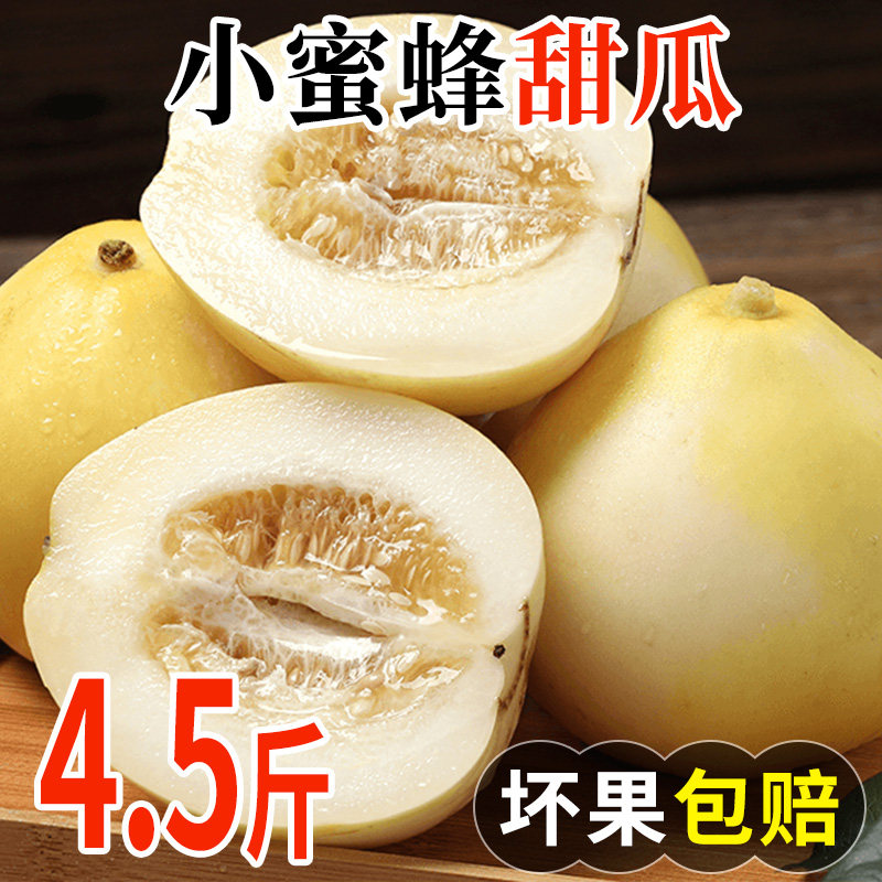 山东小蜜蜂甜瓜冰糖脆甜瓜头茬果
