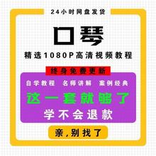 口琴视频教学教程自学高清 10孔24孔布鲁斯半音阶口琴 零基础教程