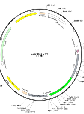 pAAV-IRES-hrGFP