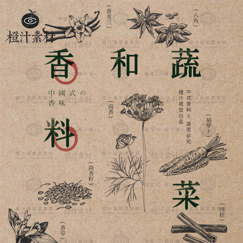 手绘香料蔬菜水果线描八角茴香薄荷丁香线稿ai矢量eps设计素材png