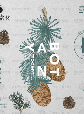 文艺小清新植物北欧绿色叶子干果针叶松果AI矢量EPS设计素材PNG图