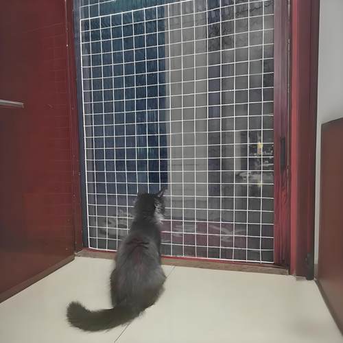 DIY防猫网门护栏围栏养猫封窗阳台网小型犬隔离栅栏网防猫钻围栏