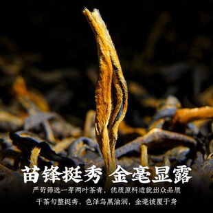 曲红金毫 蜜甜香型滇红功夫红茶一斤装米汤感浓香红茶古树茶头采