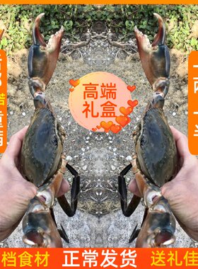 同安煎蟹特大公蟹野生大青蟹肉蟹