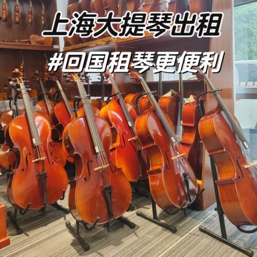 经济实惠大提琴优乐提琴租赁便捷
