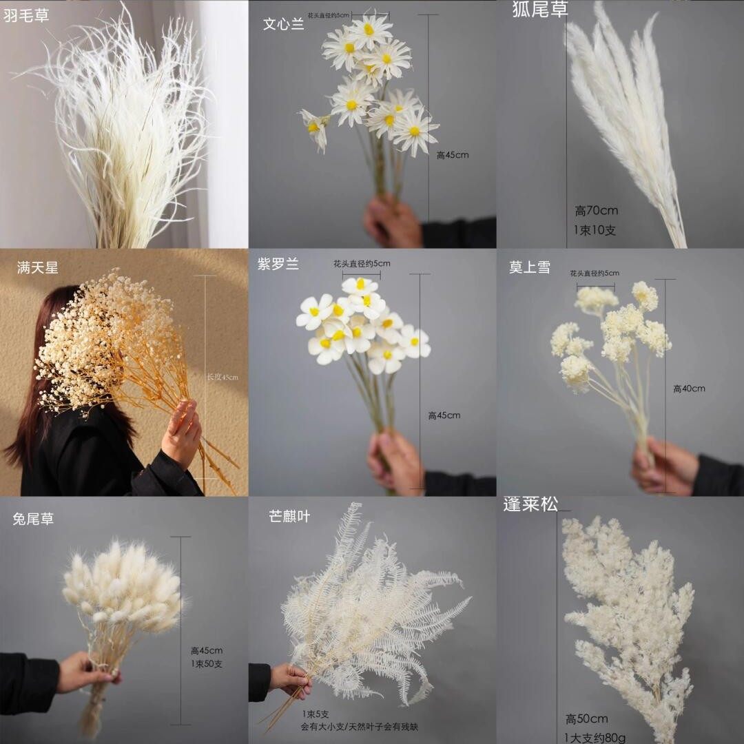 ins风家居软装婚礼布景干花永生花花束真花满天星装饰婚礼装饰,鲜花速递/花卉仿真/绿植园艺,干花,淘宝优惠券,粉丝福利购,淘宝优惠卷