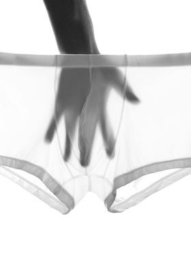 CLEVER-MENMODE男士冰丝平角裤薄款半透明内裤性感透气低腰U凸裤