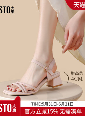 大东dd凉鞋女夏外穿时尚高级感2026新款设计感小众精致女鞋罗马鞋