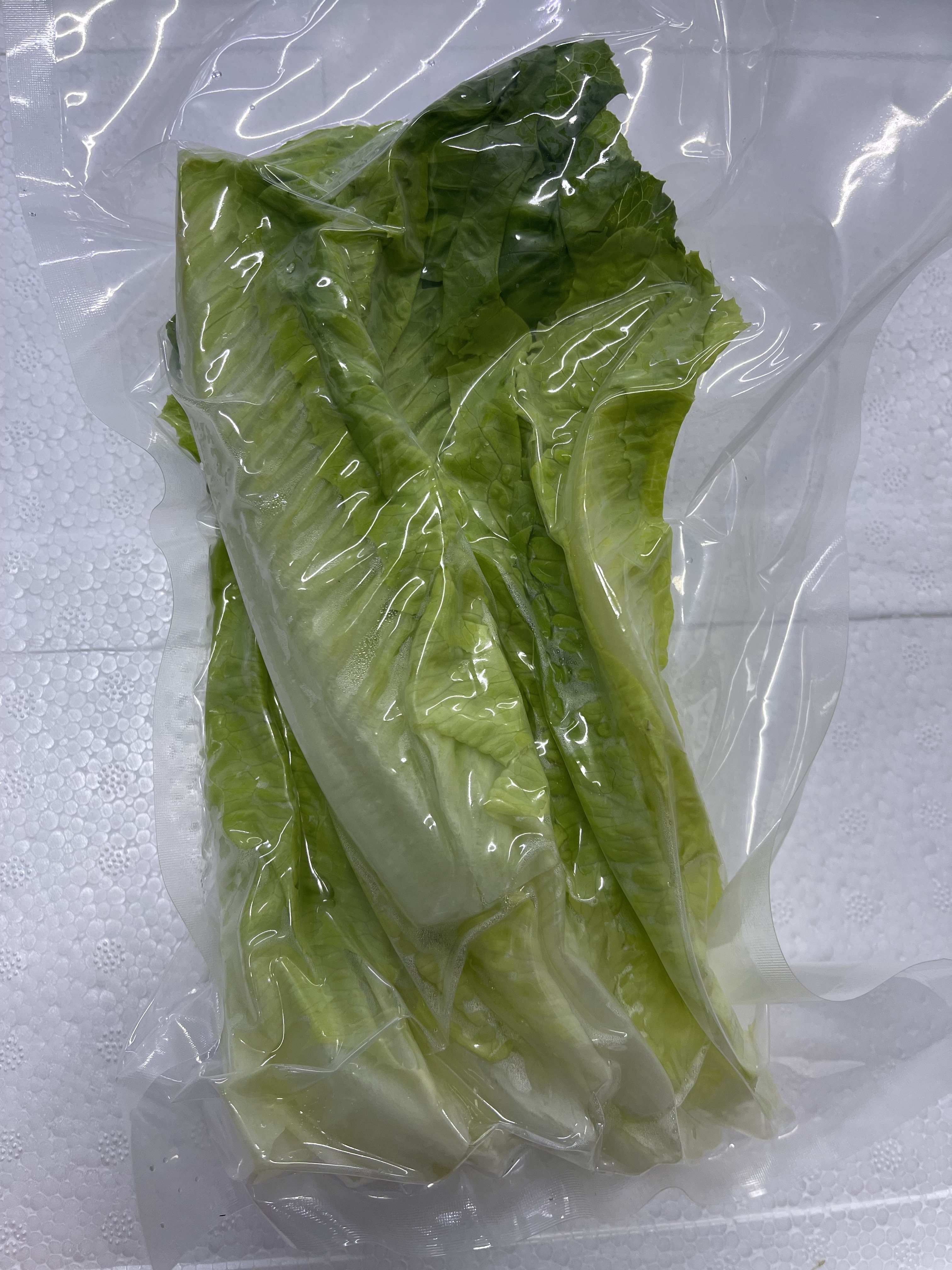 一口田净菜 罗马生菜片 罗马生菜洗净 罗纹生菜块 250g/包