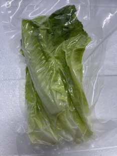 一口田净菜 罗马生菜片 罗马生菜洗净 罗纹生菜块 250g/包