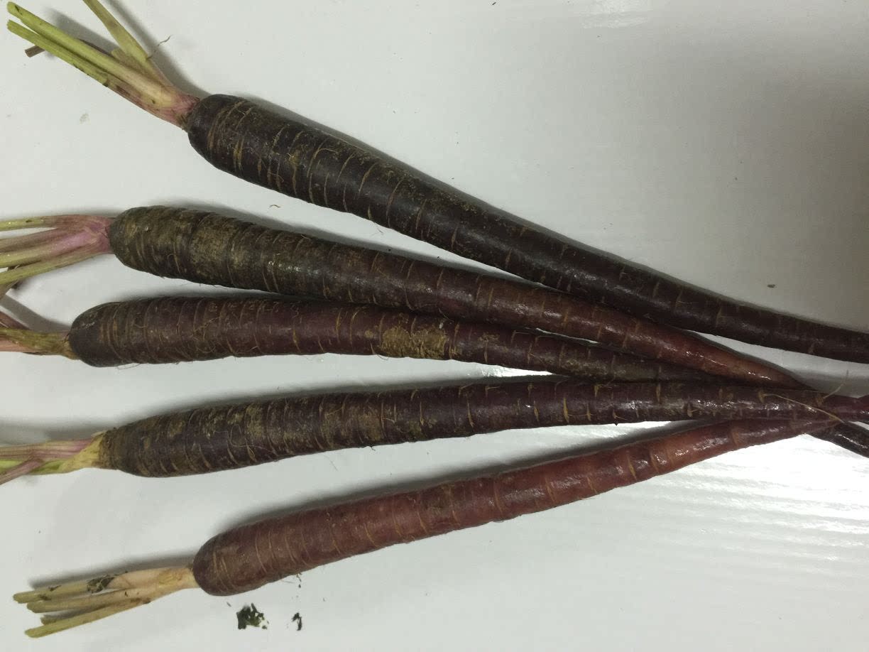 新鲜  紫色  迷你手指萝卜 榨汁   摆盘   500g 9元