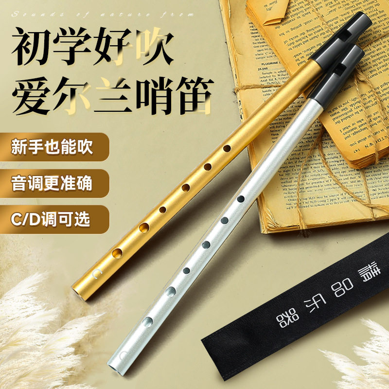 爱尔兰哨笛C调D调小学生专用六孔直笛儿童专业演奏高低音笛子竖笛