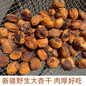 新疆杏干无添加野生大杏干自然风干树上干杏伊犁吊死干孕妇零食