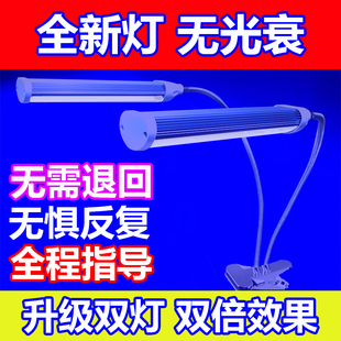 全新购买家用黄疸蓝光灯蓝光箱新生的儿蓝光灯蓝光机指导照蓝光