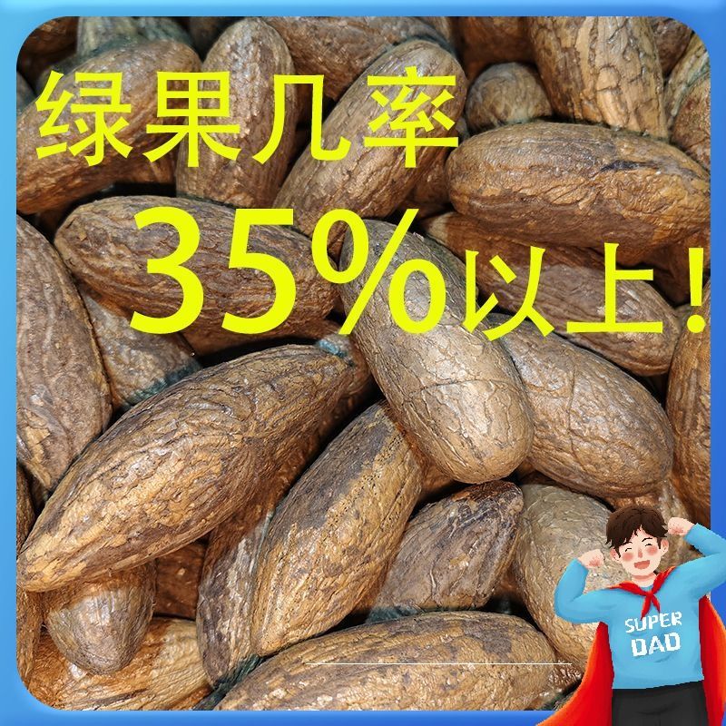 精品千眼菩提子原籽绿果大果图片