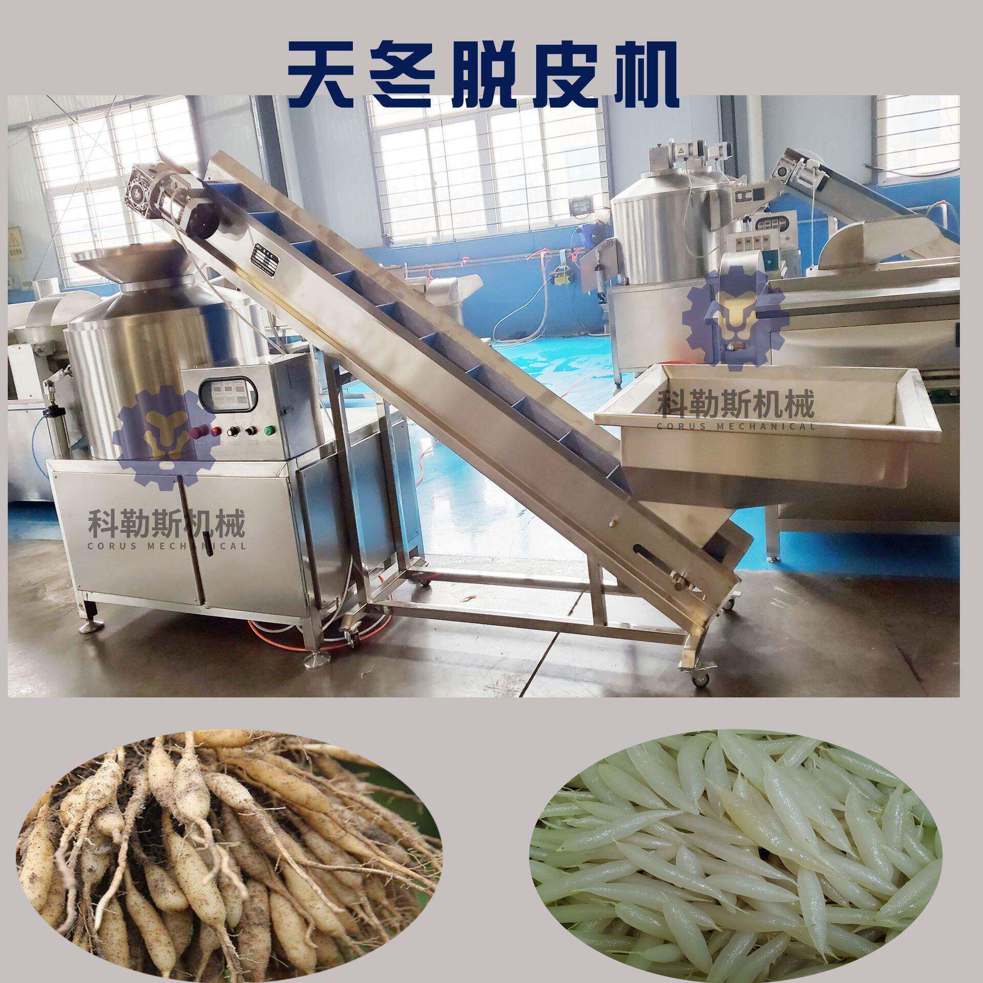 加工生产天冬脱皮机 天门冬脱皮定制加工生产厂家