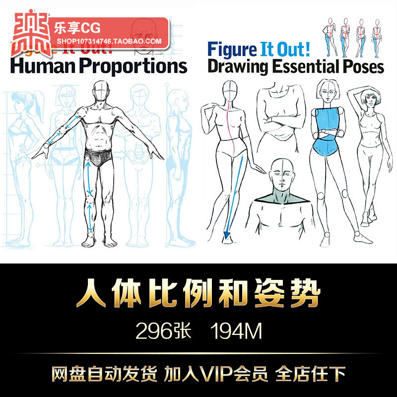 艺用美术形体比例和姿势造型 形体结构速写 手绘临摹参考资料素材