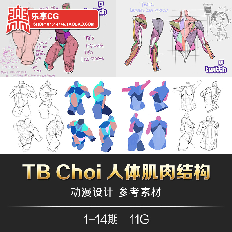 韩国画师tb choi人体结构基础造型绘画技法 线稿速写美术临摹素材