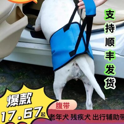 宠物狗狗后腿辅助带小型犬牵引绳