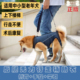 宠物狗狗辅助带老年犬残疾上下楼行走障碍后腿康复夏季 透气牵引绳