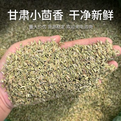 小茴香500g川菜调料炖羊肉优质小茴可粉八角花椒桂皮香料大全