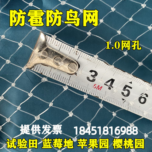 试验田防鸟网1公分网眼防鸟天网农田养殖冰雹网苹果樱桃蓝莓防雹
