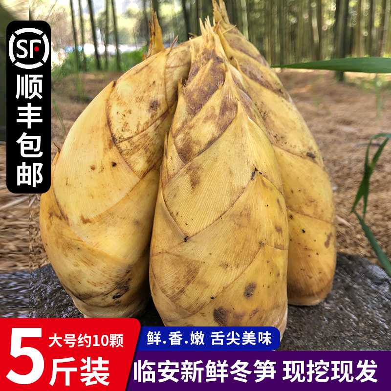 [SF shipment 5]Tianmu winter bamboo shoots fresh Linan Bamboo shoots Farm fresh winter bamboo shootsin the Aquatic meat/Fresh fruits and vegetables/Cooked , Fresh vegetables/Vegetable products , Fresh vegetables , Bamboo shoots category - from Buy2taobao.com to provide professional Taobao agent buy service