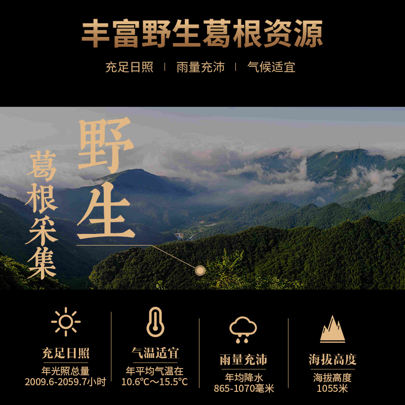 湖北随州二月风葛菇酥特色小吃明司柴葛根香菇饼干代餐糕点礼盒装