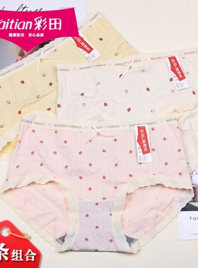 3条组合彩田少女莫代尔棉感内裤15802舒适蕾丝花边青年短裤15803