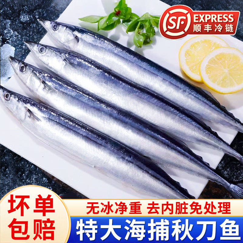 去内脏免处理秋刀鱼海捕特大号图片