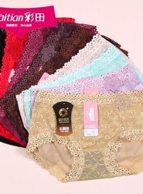 三条包邮彩田高腰透明网纱短裤30135性感蕾丝边中腰女士内裤30136