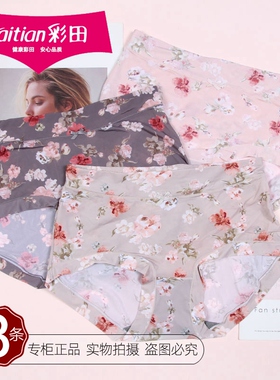 三条价彩田柔软冰丝女内裤31972轻薄速干石墨烯平角短裤31973