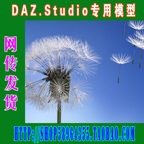 DAZ daz3d模型——iREAL Animated Dandelion蒲公英动画(3M-296)
