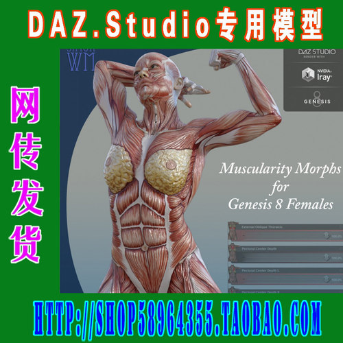 daz3d studio模型Genesis 8 男女肌肉超精细模型与贴图(3M-211)