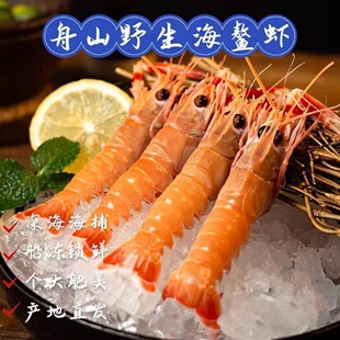舟山海鳌虾刺身国产东海大鳌虾甜虾日料生吃海鲜商用大鳌虾顺丰发