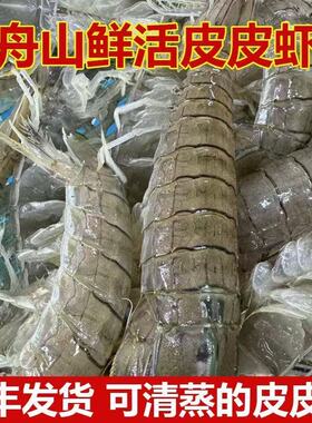 鲜活皮皮虾新鲜虾姑富贵虾海虾舟山海鲜可清蒸包鲜不包活