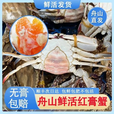 【保鲜不保活】舟山梭子蟹母蟹大红膏蟹顺丰直发螃蟹海鲜水产海蟹