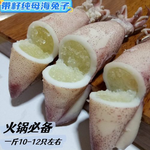 海兔子满籽带籽笔管鱼纯籽籽乌