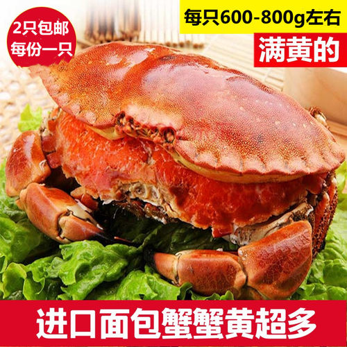 熟冻面包蟹黄金蟹青岛海鲜水产大螃蟹梭子蟹肉蟹飞蟹青蟹2只包邮