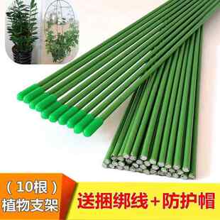 实心铁丝包塑花杆凤尾竹支架树盆栽绣球扶正支撑棍花盆插杆in