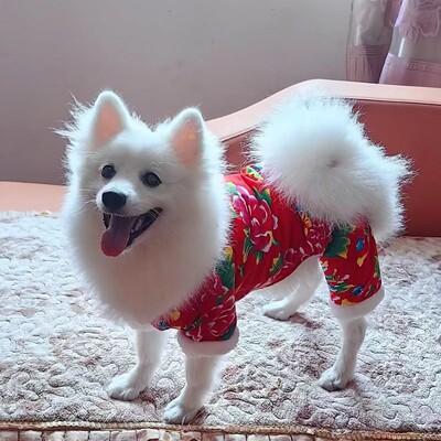 宠物东北大花棉袄狗狗衣服秋冬款泰迪柯基小型犬猫咪衣服新年唐装