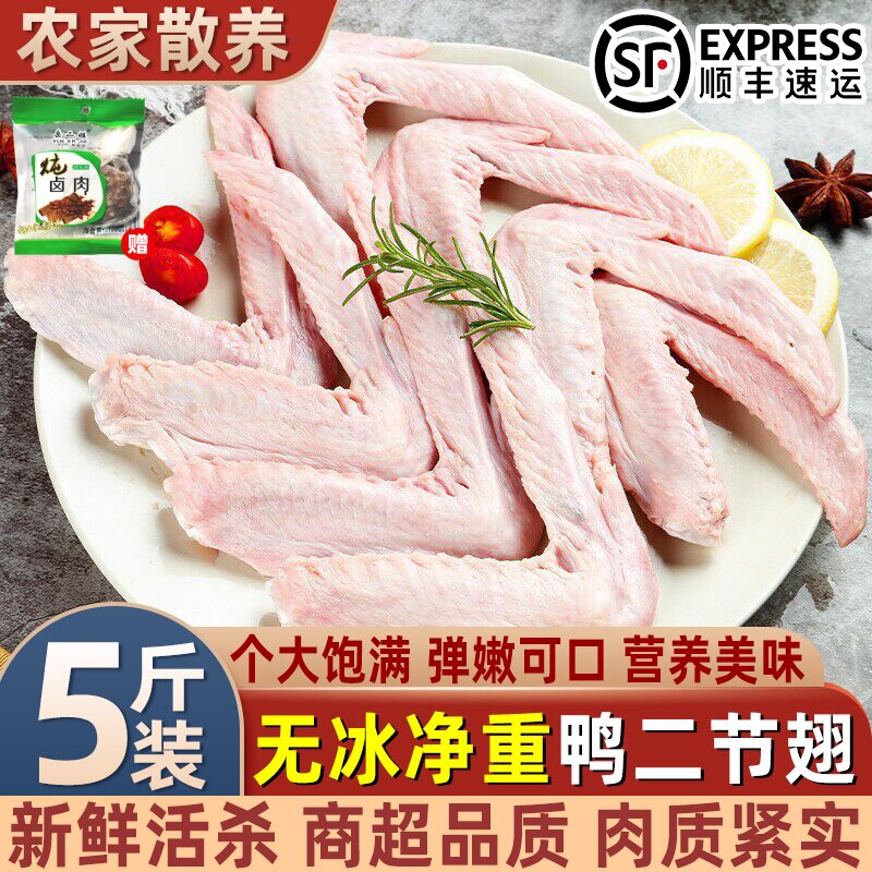 鲜冻大鸭翅烧烤卤味食材