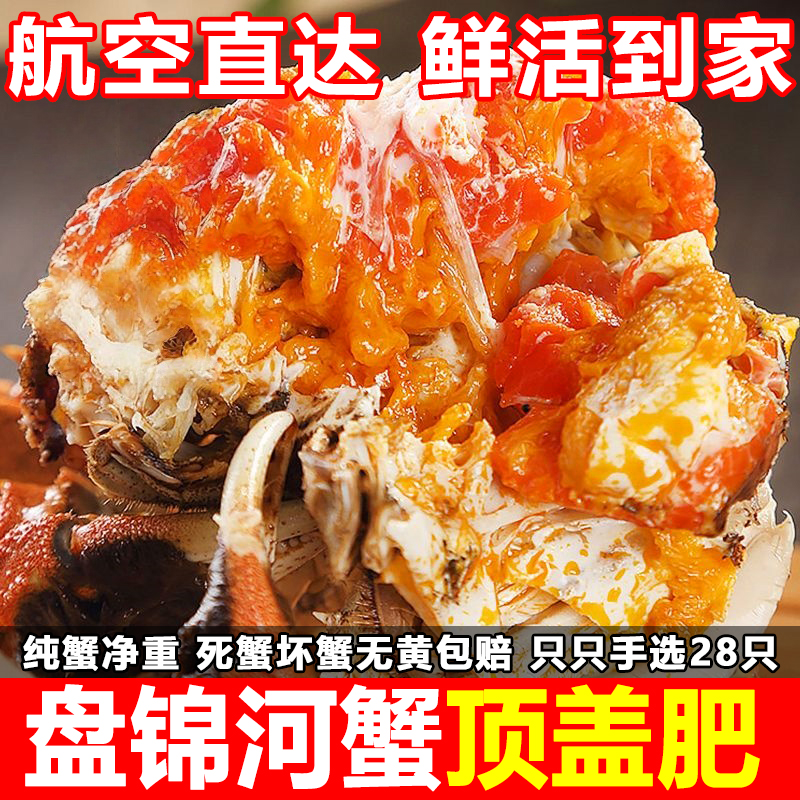 鲜活到家正宗盘锦河蟹公母蟹