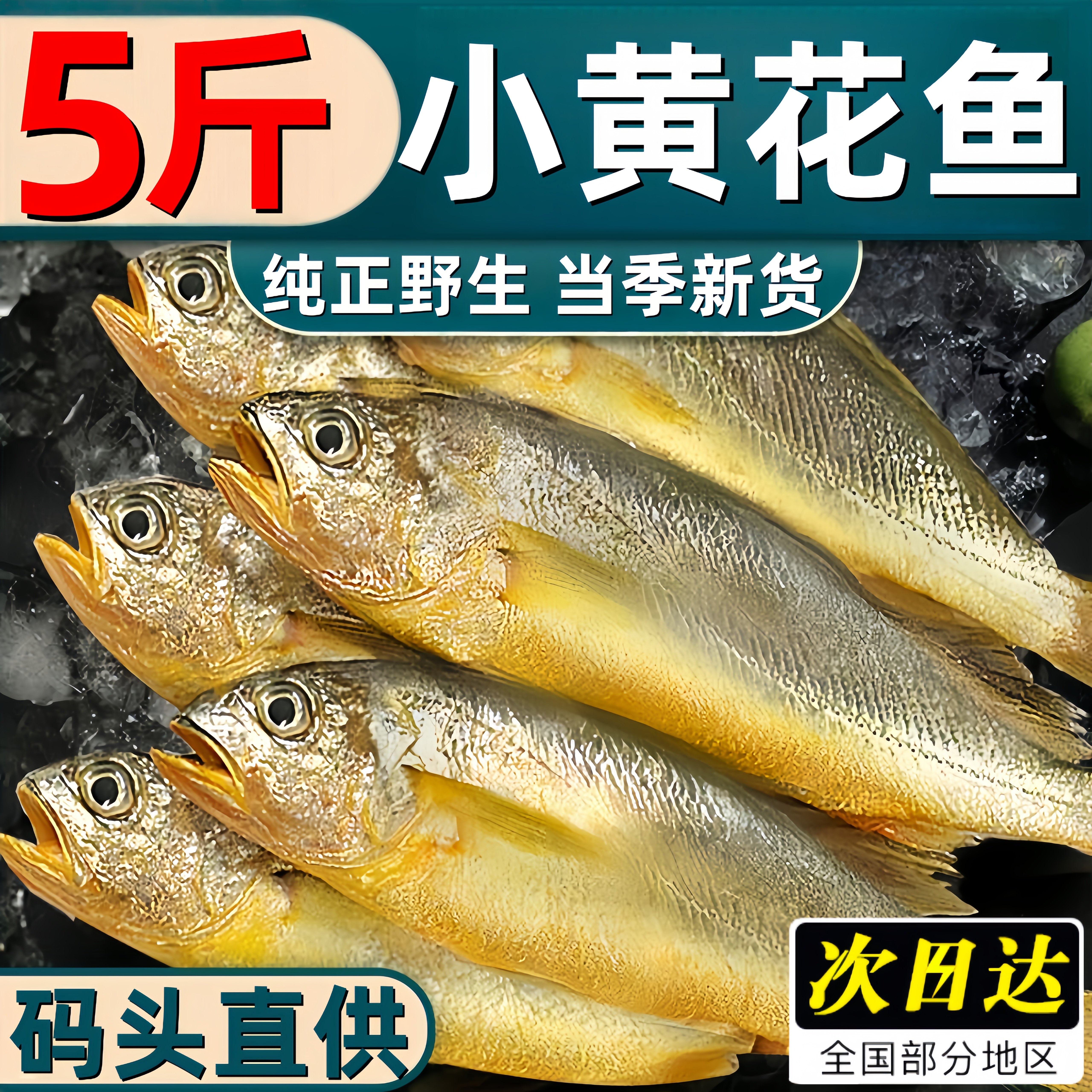新鲜小黄鱼速冻新鲜海捕船冻小黄花鱼鲜活冷冻海鱼海鲜水产批发