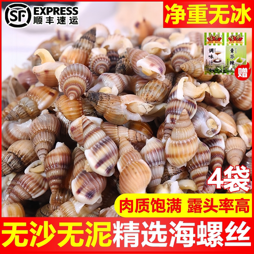 海螺蛳野生鲜活海瓜子海捕精选