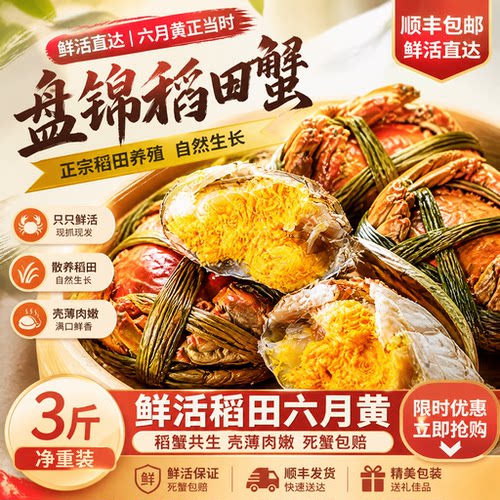 盘锦六月黄螃蟹鲜活大闸蟹礼盒足斤足两顺丰冷链包邮河蟹水产批发