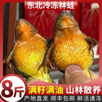 东北特产林蛙鲜活冷冻